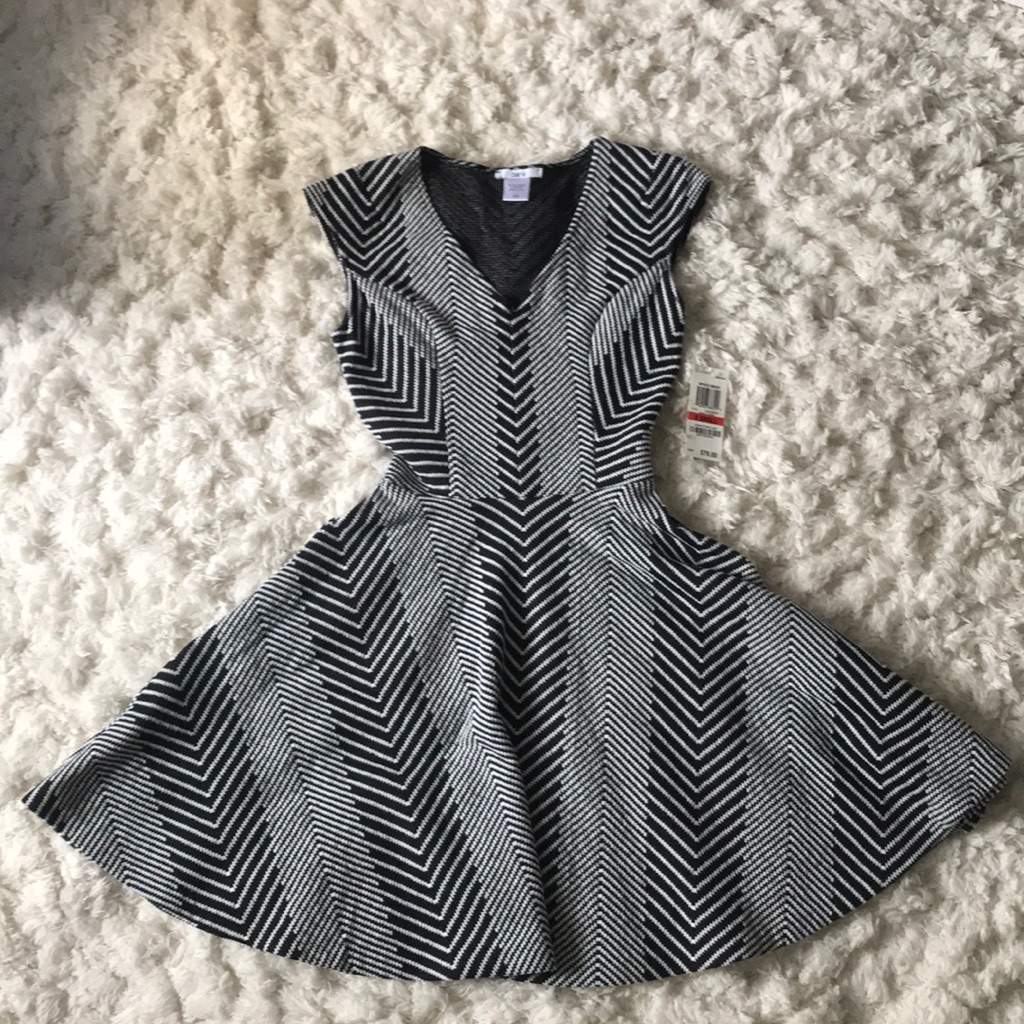 Nwt Bar Iii Black And White Dress